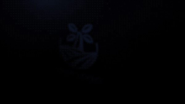 Intro Video 040