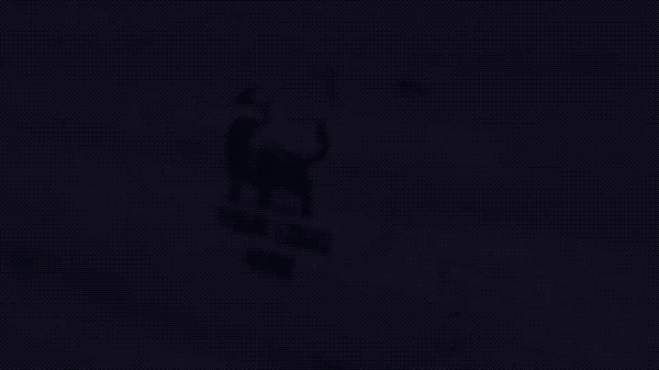 Intro Video 044