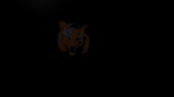 Intro Video 045